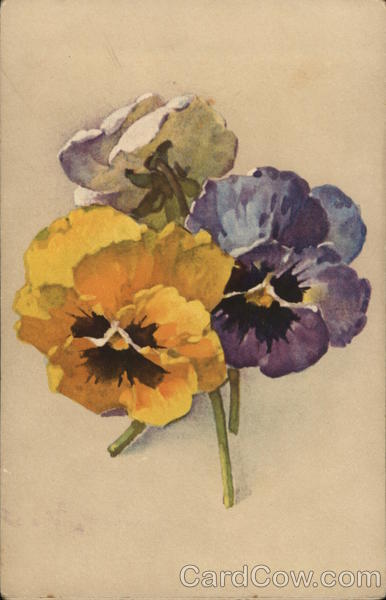 Colorful Flowers C. Klein