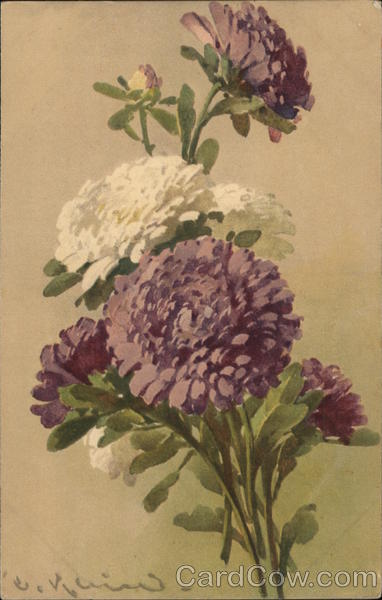 Purple and White Flowers with Green Stems and Leaves