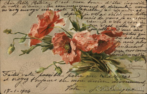 Orange Flowers C. Klein