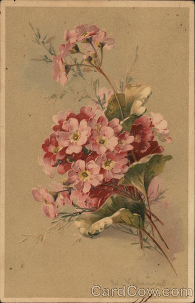 Red Flowers C. Klein