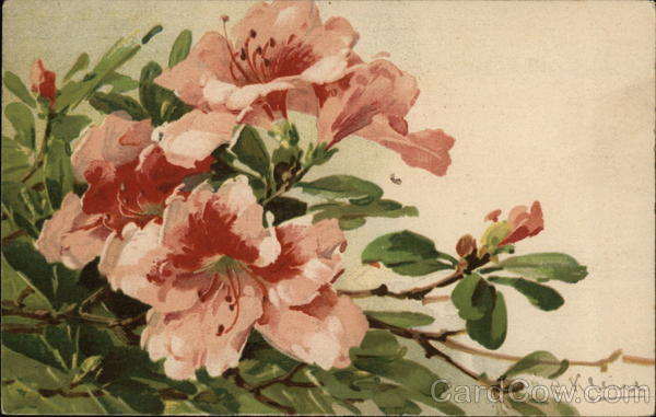 Pink Flowers on Stems with Green Leaves C. Klein