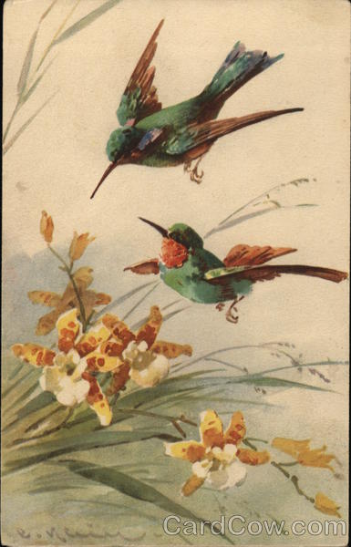 Hummingbirds and Flowers C. Klein