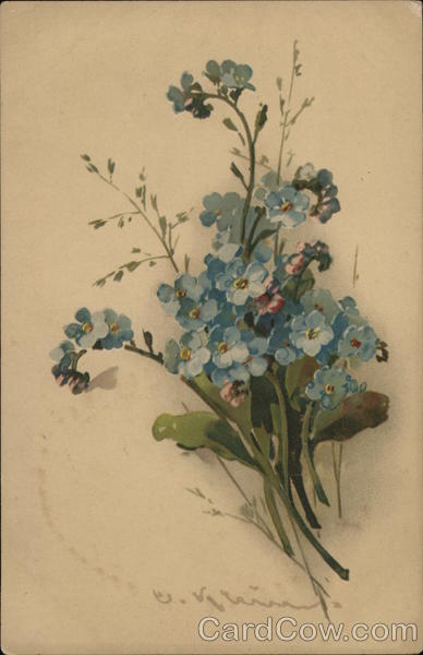 Blue flowers C. Klein