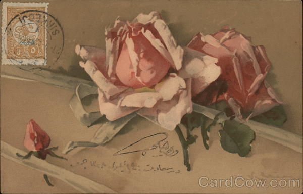 Pink Roses C. Klein