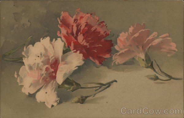 Shades of Pink C. Klein