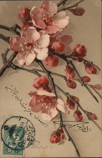 Pink Dogwood C. Klein