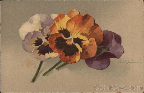 Pansies C. Klein