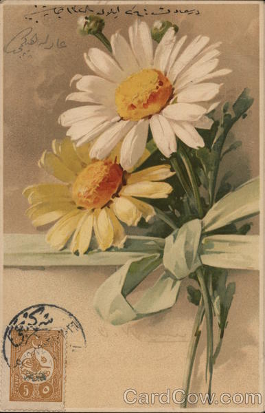 Daisies C. Klein