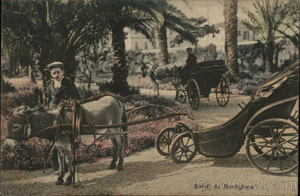 Greetings From Bordighera - Donkey Cart Italy Children