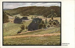 "Waldau" Landscape Farm Postcard