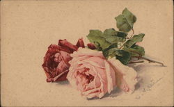 Two Roses C. Klein Postcard Postcard