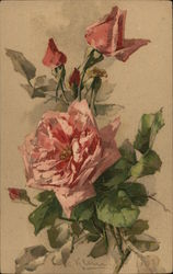 Rose Postcard