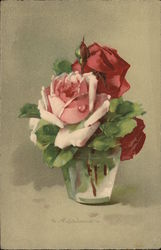 Pink and Red Roses C. Klein Postcard Postcard