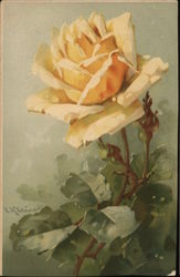 Yellow Rose with Green Stem and Leaves Postcard