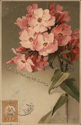Pink Flowers C. Klein Postcard Postcard
