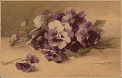 Purple Flowers - Violets C. Klein Postcard Postcard