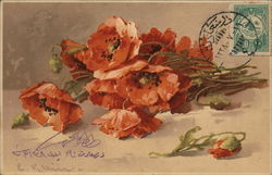 Poppies C. Klein Postcard Postcard