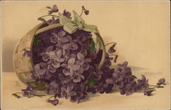 Basket of Violets C. Klein Postcard Postcard Postcard