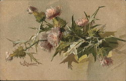 Purple Flowers with Spiky Green Leaves Postcard