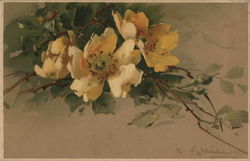 Yellow Flowers Postcard
