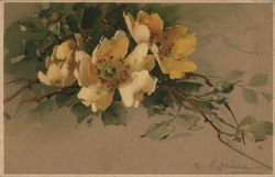 Yellow Flowers C. Klein Postcard Postcard