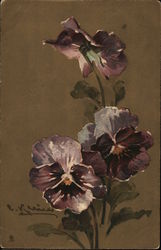 Purple Pansies with Gold Centers and Green Leaves C. Klein Postcard Postcard