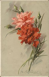 Pink and Orange Flowers with Buds and Green Foliage Pink and Orange Flowers with Buds and Green Foliage