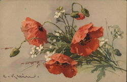 Red Poppies C. Klein Postcard Postcard