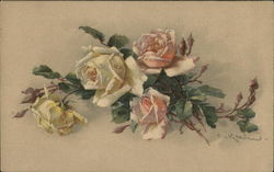 Yellow and Peach Roses with Buds and Stems C. Klein Postcard Postcard