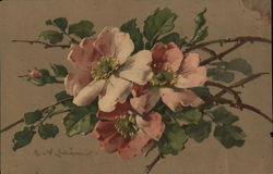 Pink Flowers Postcard
