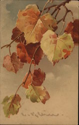 Autumn Leaves Postcard