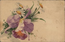 Purple and Yellow Flowers with Daisies and Green Foliage C. Klein Postcard Postcard