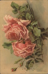 Pink Rose C. Klein Postcard Postcard