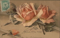 Pink Roses with Green Leaves and White Ribbon C. Klein Postcard Postcard