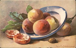 Fruits and Nuts C. Klein Postcard Postcard