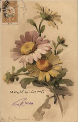 Colorful Flowers C. Klein Postcard Postcard