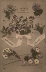 Langage Des Fleurs French Flora Postard Postcard