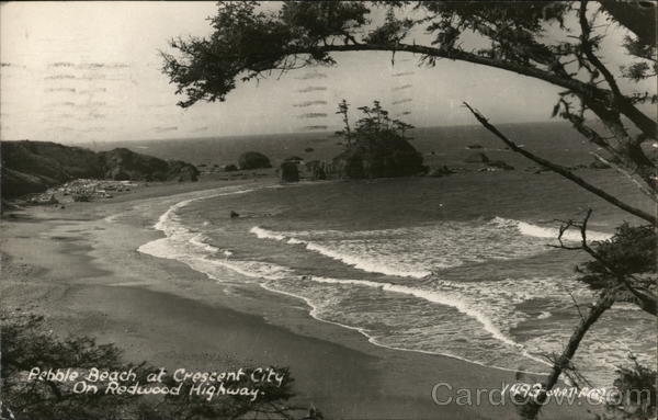 Pebble Beach on Redwood Highway Crescent City California