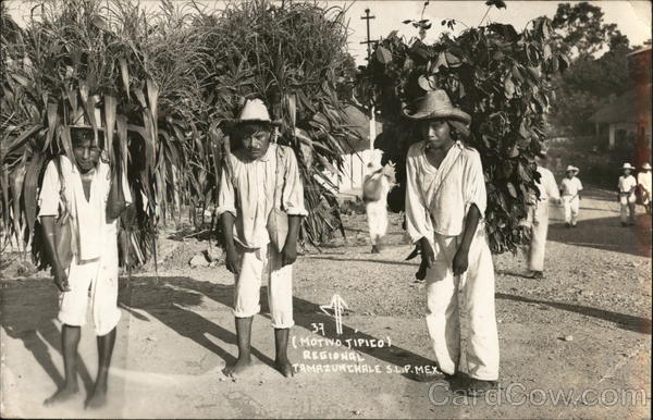 Typical Regional Scene Tamazunchale SL Mexico