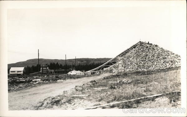 Stock Pile of Logs Marathon Canada Misc. Canada