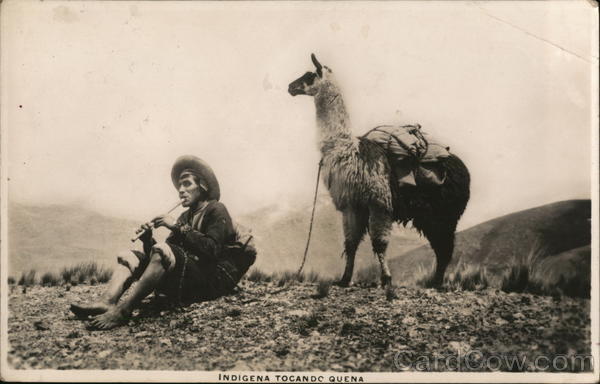 Indigena Tocando Quena, Llama