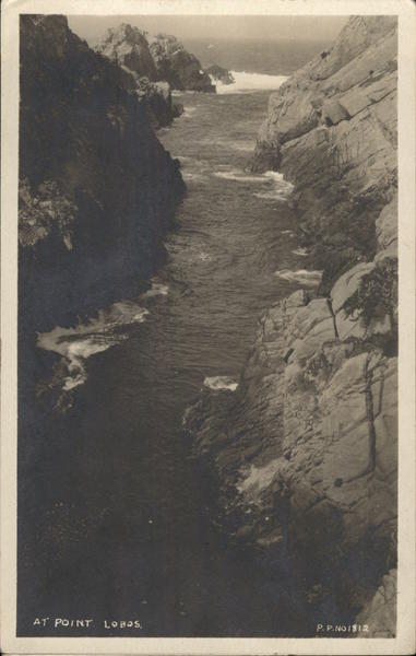 At Point Lobos Carmel California