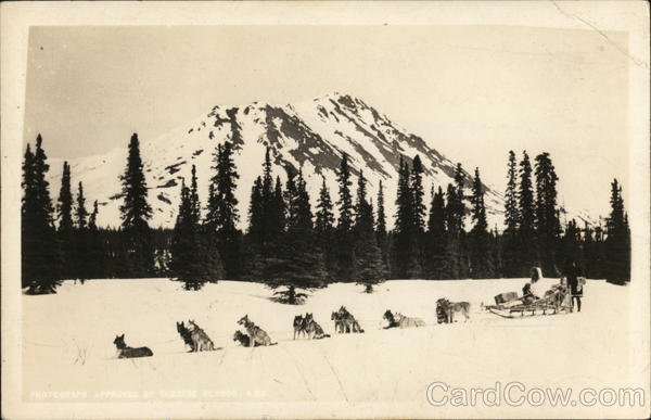 Dog Sled Team Alaska