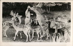 Catskill Game Farm Postcard