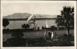 General View of the Theban Hills Postcard