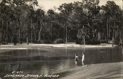 Sanlando Springs, Florida Postcard Postcard Postcard