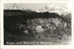 Alaska Style "Billboard" Skagway, AK Postcard Postcard Postcard