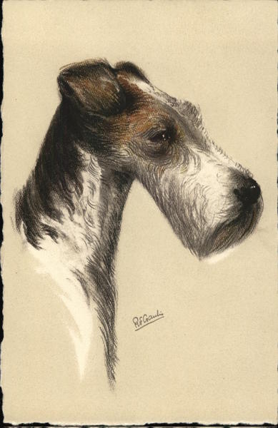 Wire-Haired Fox Terrier Dogs