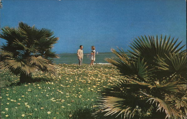 Santa Barbara by American Airlines Airline Advertising