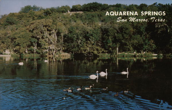 Aquarena Springs San Marcos Texas